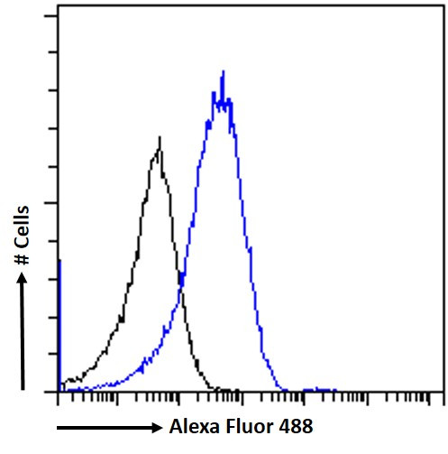 alpha Dystroglycan Antibody in Flow Cytometry (Flow)