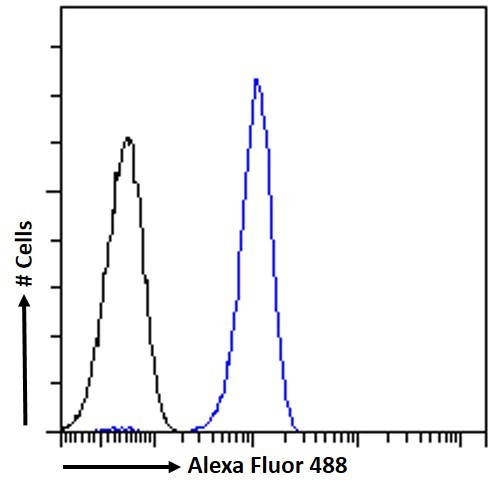 ARTS Antibody in Flow Cytometry (Flow)