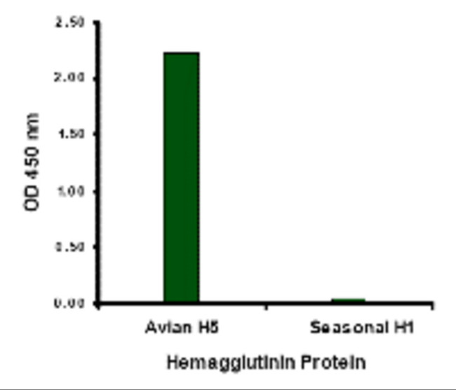 Avian Influenza HA Type 2 Antibody in ELISA (ELISA)