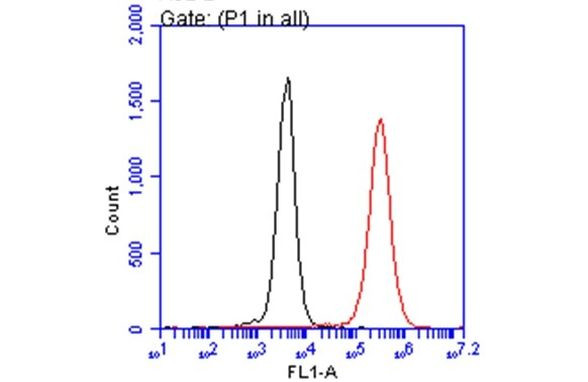 IBA1 Antibody in Flow Cytometry (Flow)