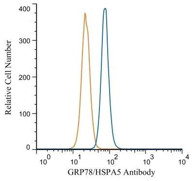 GRP78 Antibody in Flow Cytometry (Flow)