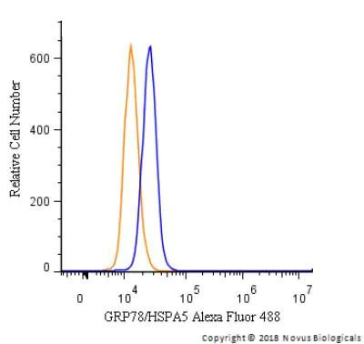 GRP78 Antibody in Flow Cytometry (Flow)