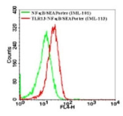 TLR13 Antibody in Flow Cytometry (Flow)