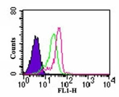 TLR7 Antibody in Flow Cytometry (Flow)