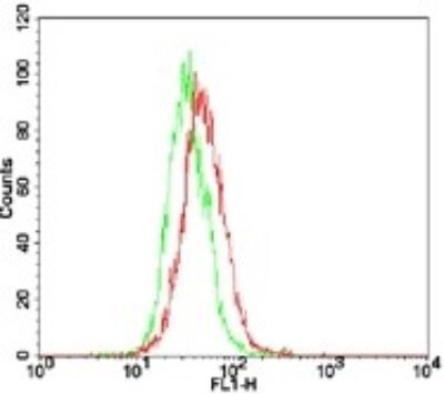 TLR7 Antibody in Flow Cytometry (Flow)