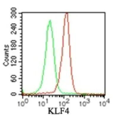 KLF4 Antibody in Flow Cytometry (Flow)