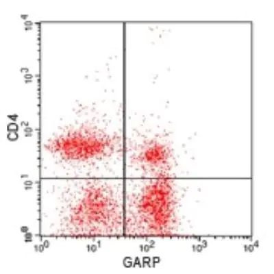 GARP Antibody in Flow Cytometry (Flow)