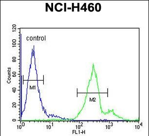 LAPTM5 Antibody in Flow Cytometry (Flow)