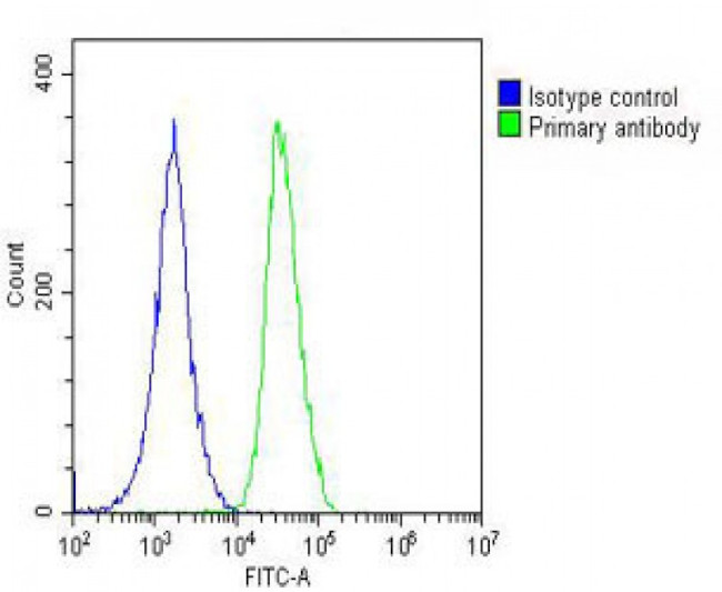 Angiopoietin 2 Antibody in Flow Cytometry (Flow)