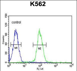 AKR1C3 Antibody in Flow Cytometry (Flow)