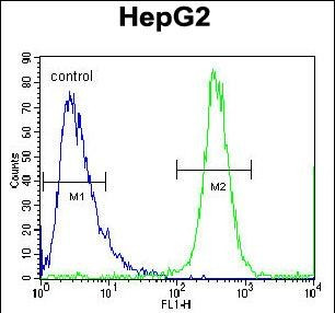 FBXO2 Antibody in Flow Cytometry (Flow)