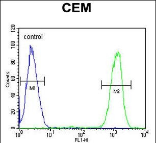 IKAROS Antibody in Flow Cytometry (Flow)