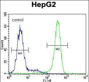 KIAA0090 Antibody in Flow Cytometry (Flow)