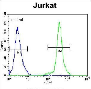 KLF14 Antibody in Flow Cytometry (Flow)