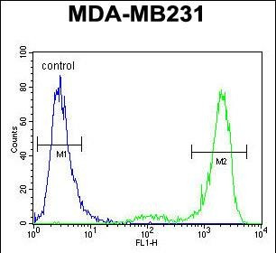 KCNT2 Antibody in Flow Cytometry (Flow)