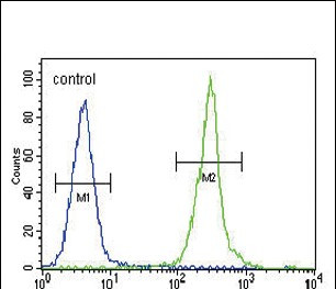 Claudin 16 Antibody in Flow Cytometry (Flow)