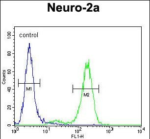 DDX11 Antibody in Flow Cytometry (Flow)