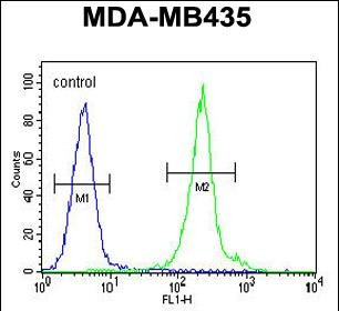 IL-12 p40 Antibody in Flow Cytometry (Flow)