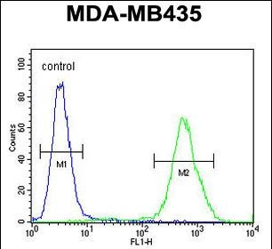 EXO5 Antibody in Flow Cytometry (Flow)