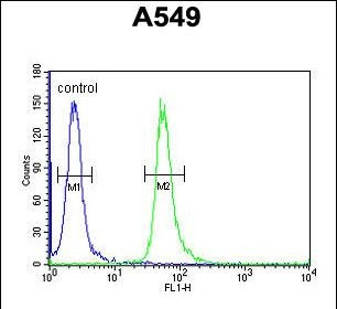 GNAT3 Antibody in Flow Cytometry (Flow)