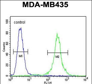 CCR8 Antibody in Flow Cytometry (Flow)