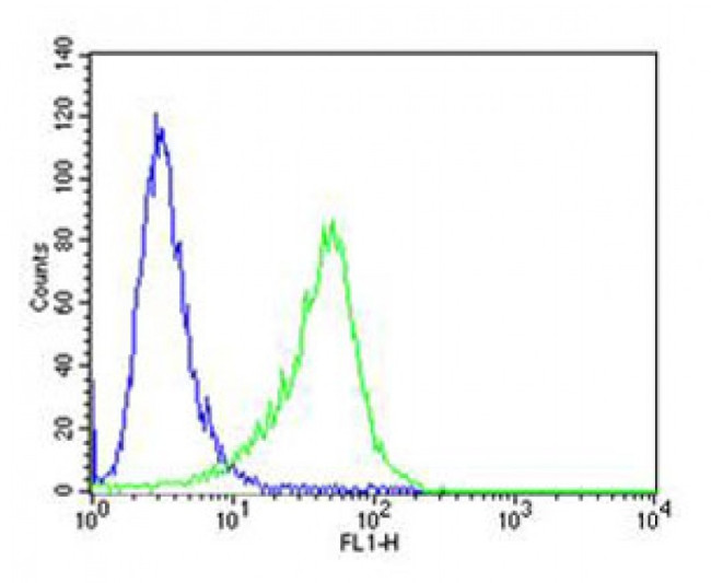 cGAS Antibody in Flow Cytometry (Flow)