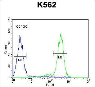 RTP4 Antibody in Flow Cytometry (Flow)