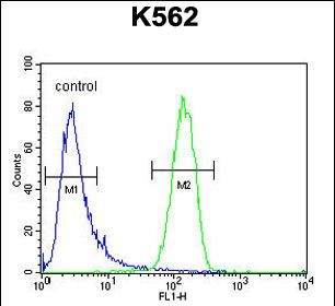 GAGE13 Antibody in Flow Cytometry (Flow)