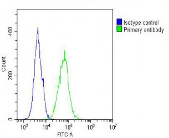 IL12RB2 Antibody in Flow Cytometry (Flow)