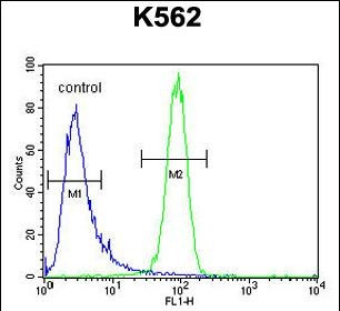 MCHR1 Antibody in Flow Cytometry (Flow)