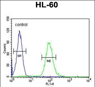 GM-CSF Antibody in Flow Cytometry (Flow)