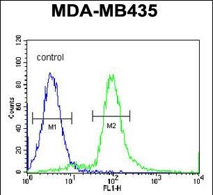 ARHGAP10 Antibody in Flow Cytometry (Flow)