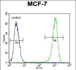 Bcl-10 Antibody in Flow Cytometry (Flow)