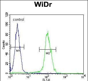 BEX1 Antibody in Flow Cytometry (Flow)