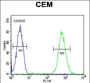 CD37 Antibody in Flow Cytometry (Flow)