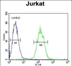 ETS1 Antibody in Flow Cytometry (Flow)