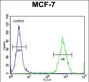 GPD1L Antibody in Flow Cytometry (Flow)