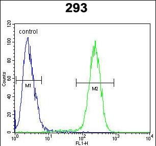 TMEM66 Antibody in Flow Cytometry (Flow)
