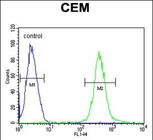 ATP8B2 Antibody in Flow Cytometry (Flow)