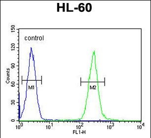 TCL6 Antibody in Flow Cytometry (Flow)