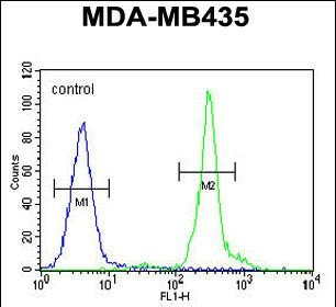 GFRAL Antibody in Flow Cytometry (Flow)