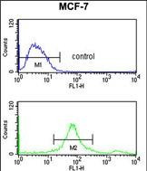 SUMO1 Antibody in Flow Cytometry (Flow)