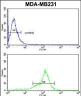 BCL2A1 Antibody in Flow Cytometry (Flow)