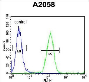 FOXC2 Antibody in Flow Cytometry (Flow)