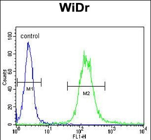 IGF1R alpha Antibody in Flow Cytometry (Flow)