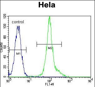 LCK Antibody in Flow Cytometry (Flow)