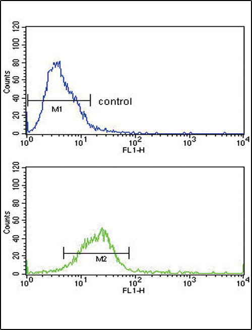 HSC70 Antibody in Flow Cytometry (Flow)