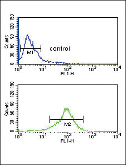 GOT1 Antibody in Flow Cytometry (Flow)