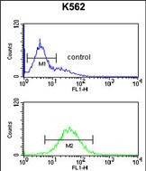 TELO2 Antibody in Flow Cytometry (Flow)