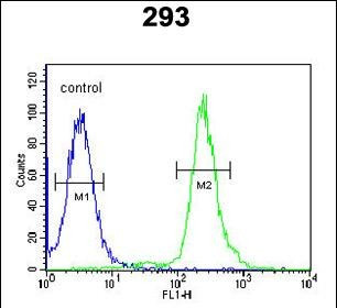 GBP7 Antibody in Flow Cytometry (Flow)